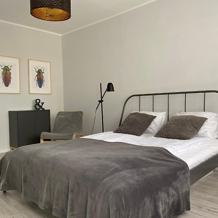 Apartament Kilinskiego 9 Świdnica Eksteriør bilde