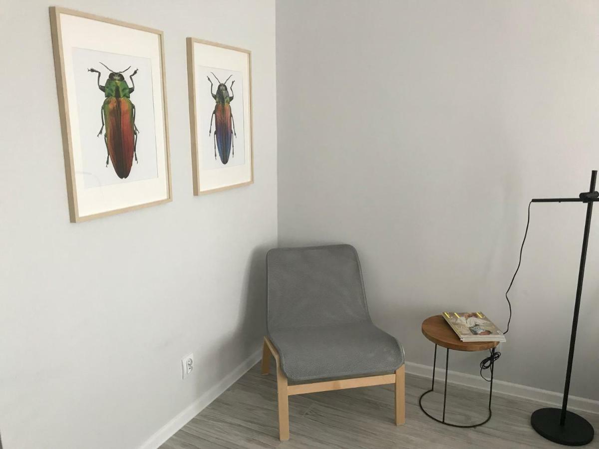 Apartament Kilinskiego 9 Świdnica Eksteriør bilde